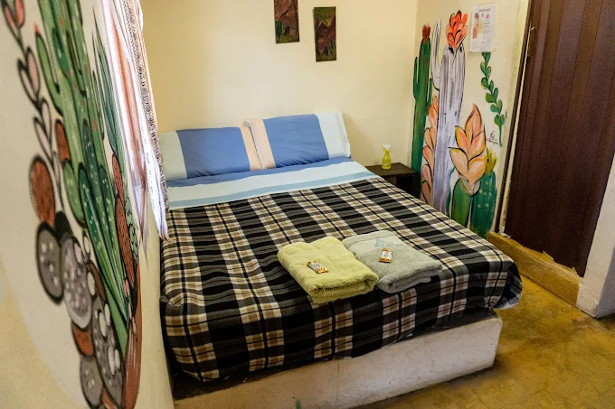 Habitación privada con murales del hostel